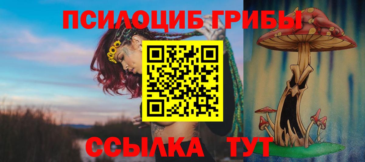 Нижний Тагил  Галлюциногенные грибы мухоморы  Псилоцибиновые грибы мухоморы  купить  цена  Вход с VPN 