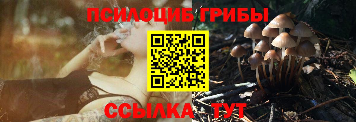 Псилоцибиновые грибы MAGIC MUSHROOMS Нижний Тагил
